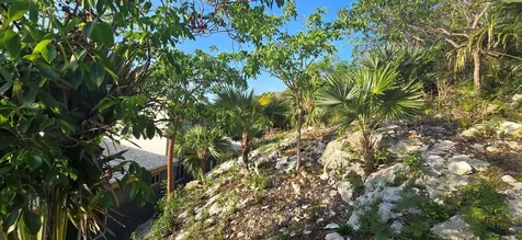 Lover's Hill Eleuthera BS