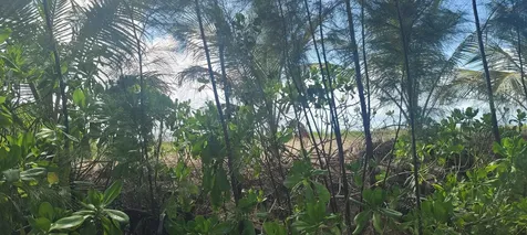 Queens Highway, Governors Lot # 2 Eleuthera BS