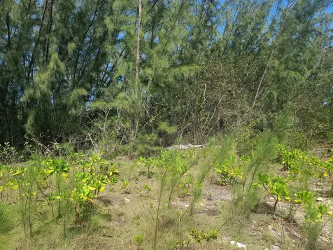 Queens Highway, Governors Lot # 2 Eleuthera BS
