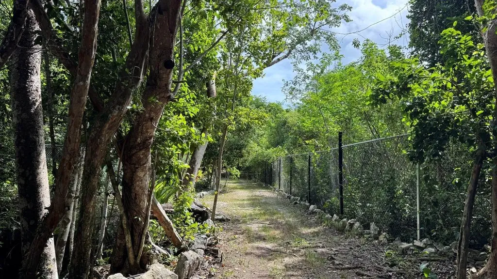 Lyford Hills New Providence Paradise Island BS