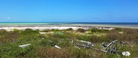 Lot 231 Albert Street Inagua BS