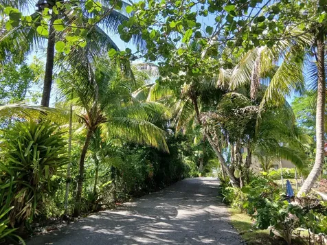 West Bay Street 881 New Providence Paradise Island BS
