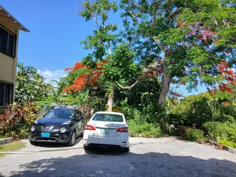 West Bay Street 881 New Providence Paradise Island BS