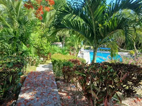 West Bay Street 881 New Providence Paradise Island BS