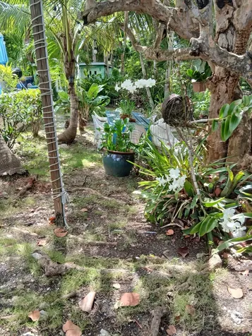 West Bay Street 881 New Providence Paradise Island BS