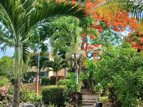 West Bay Street 881 New Providence Paradise Island BS