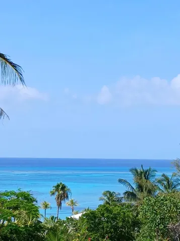 West Bay Street 881 New Providence Paradise Island BS