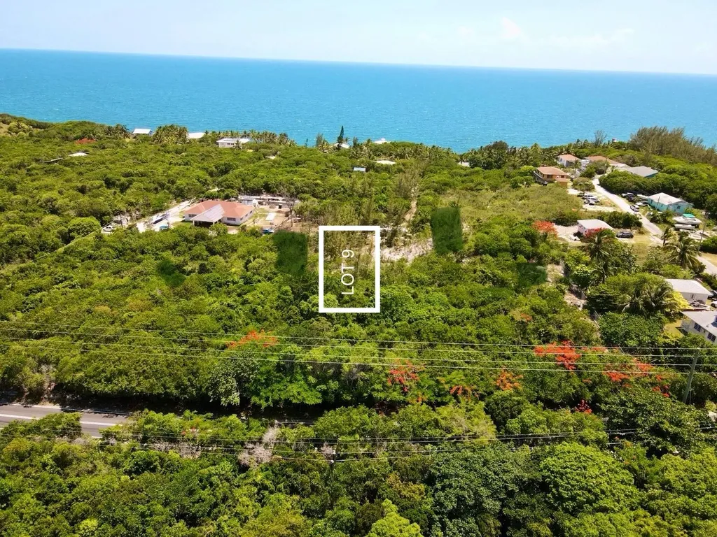 Gregory Town 9 Eleuthera Eleuthera BS