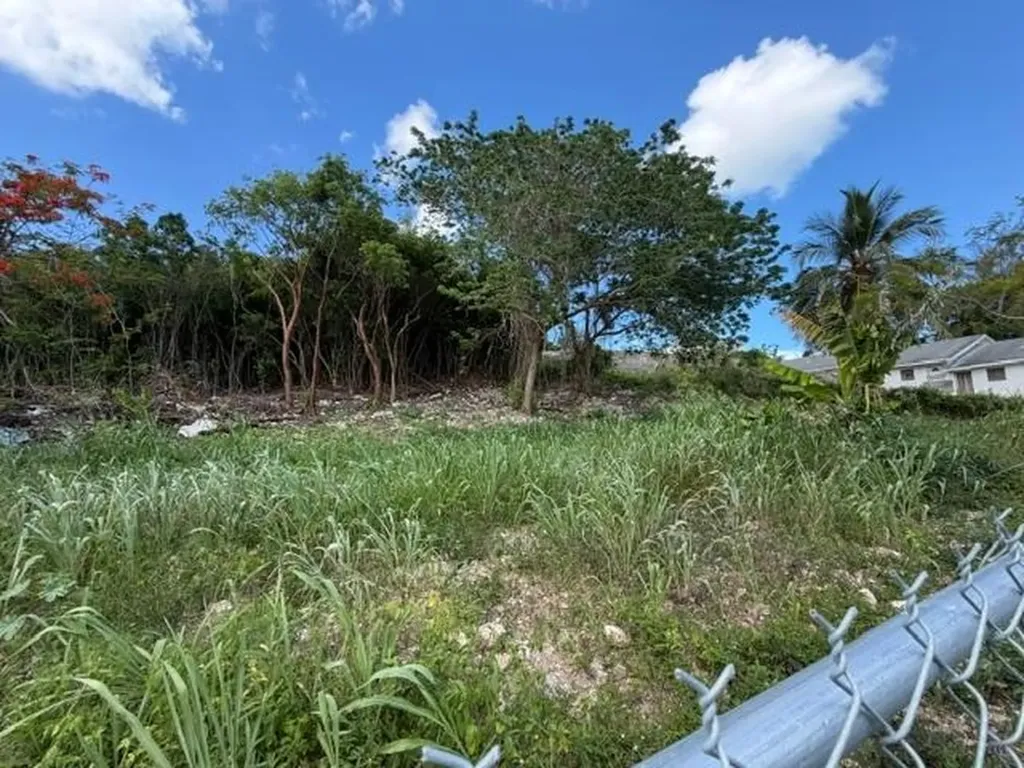 Lot 118, Monastery Park New Providence Paradise Island BS