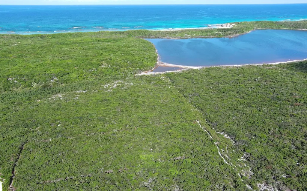 Lot A2, Salt Pond Long Island BS