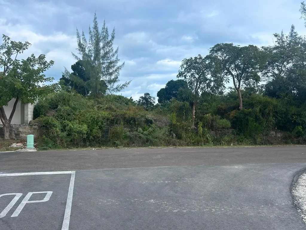 Lot #399 Twynam Heights New Providence Paradise Island BS