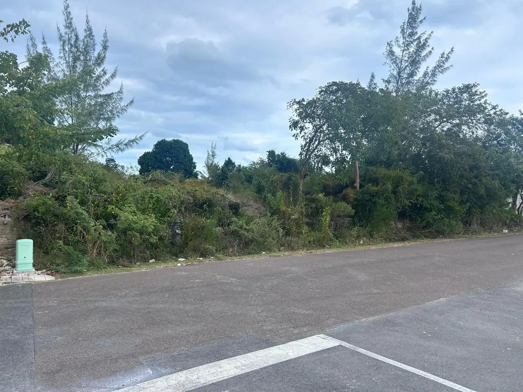 Lot #399 Twynam Heights New Providence Paradise Island BS