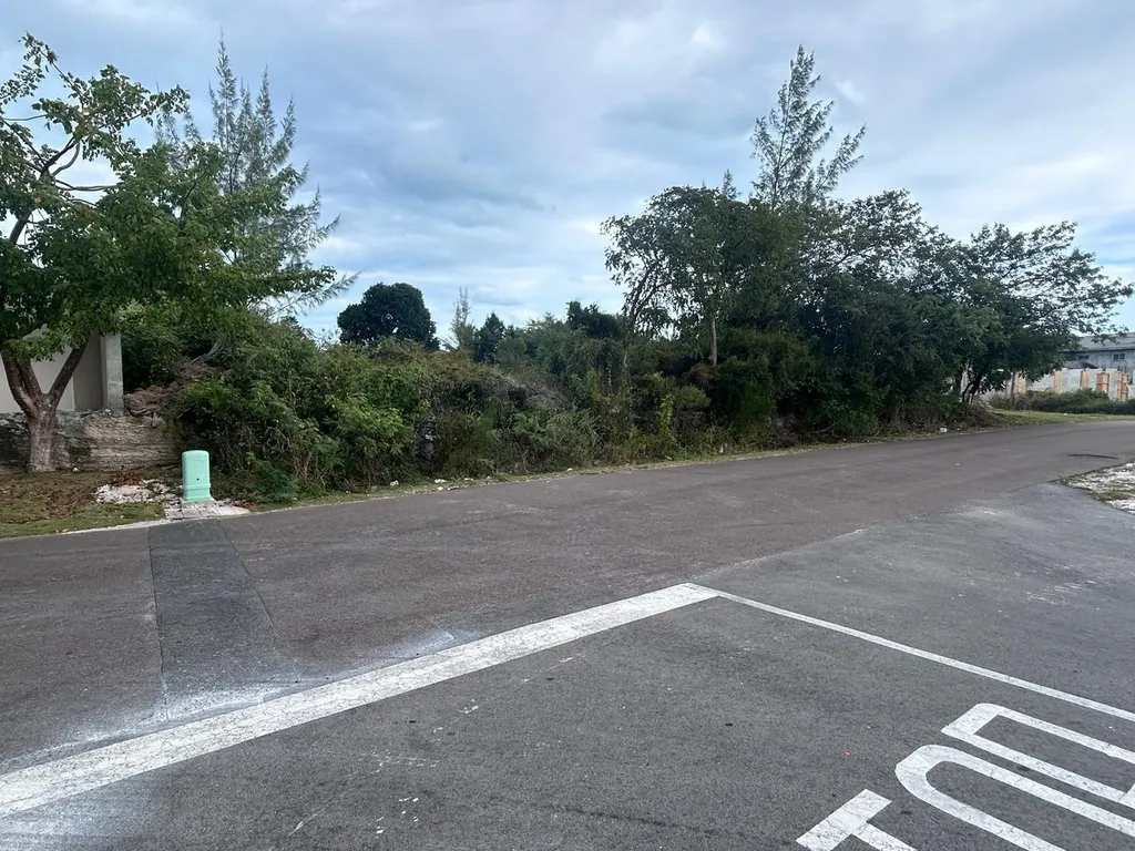 Lot #399 Twynam Heights New Providence Paradise Island BS