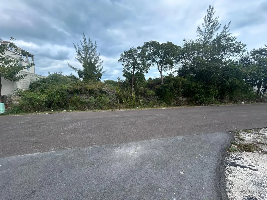 Lot #399 Twynam Heights New Providence Paradise Island BS