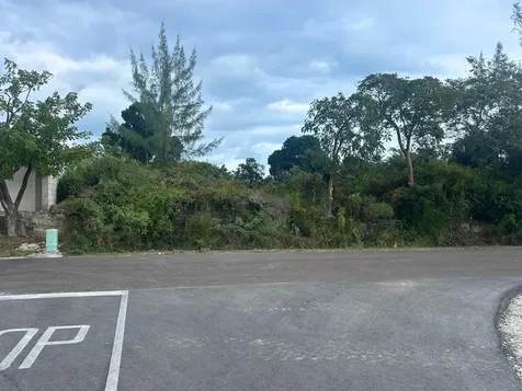 Lot #399 Twynam Heights New Providence Paradise Island BS