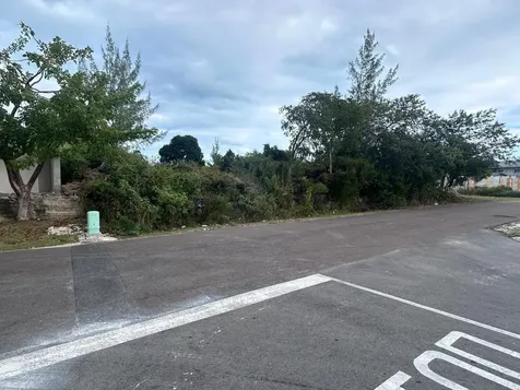 Lot #399 Twynam Heights New Providence Paradise Island BS
