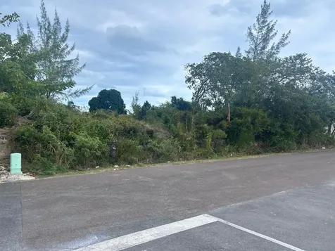 Lot #399 Twynam Heights New Providence Paradise Island BS