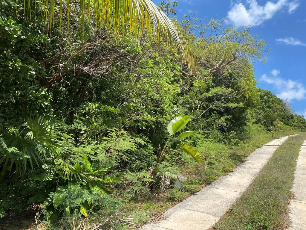 Gregory Town Acre Lot Eleuthera BS