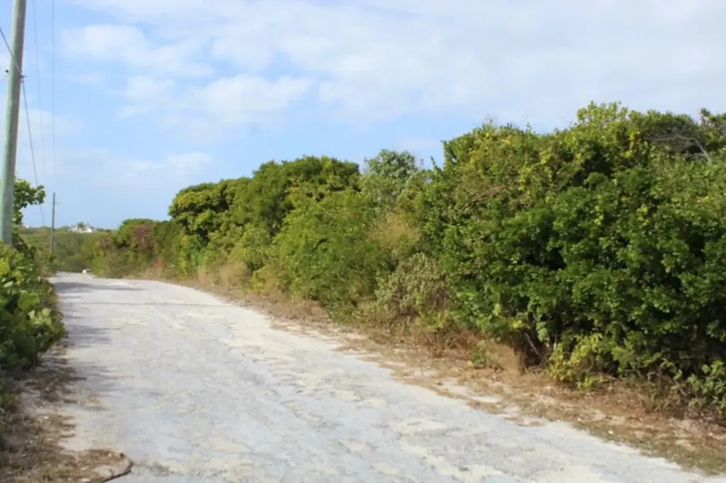 Lot 6 Block 2 Stella Mari Long Island BS