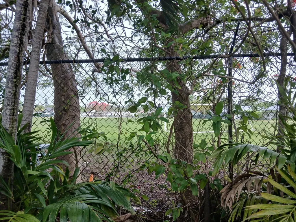 Graham Ave Conquest New Providence Paradise Island BS