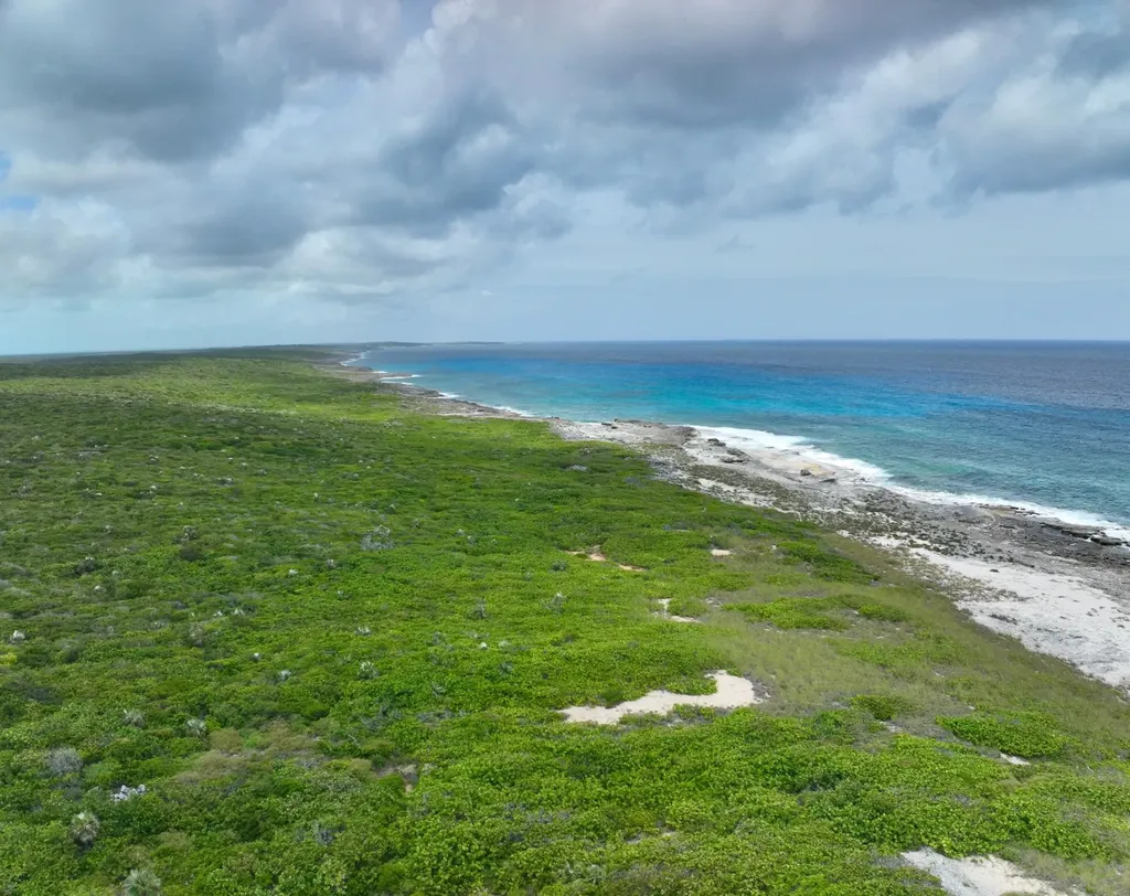Deadmans Cay Long Island BS