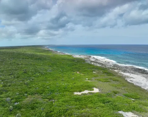 Deadmans Cay Long Island BS