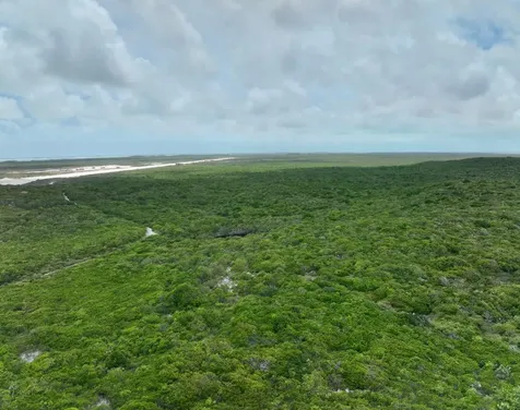 Deadmans Cay Long Island BS