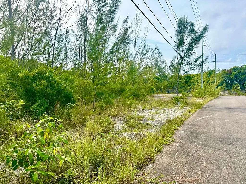 Love Estates/aip Lot#39b New Providence Paradise Island BS