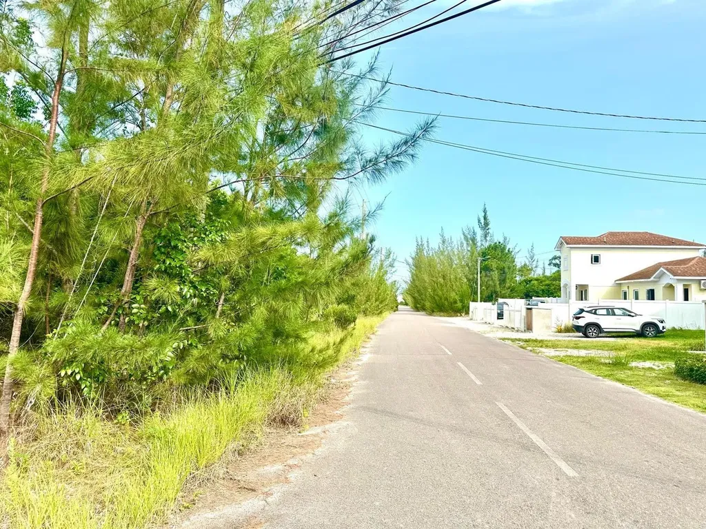 Love Estates/aip Lot#39b New Providence Paradise Island BS