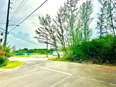 Love Estates/aip Lot#39b New Providence Paradise Island BS