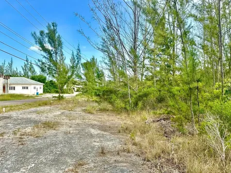 Love Estates/aip Lot#39b New Providence Paradise Island BS
