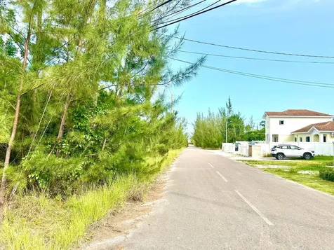 Love Estates/aip Lot#39b New Providence Paradise Island BS