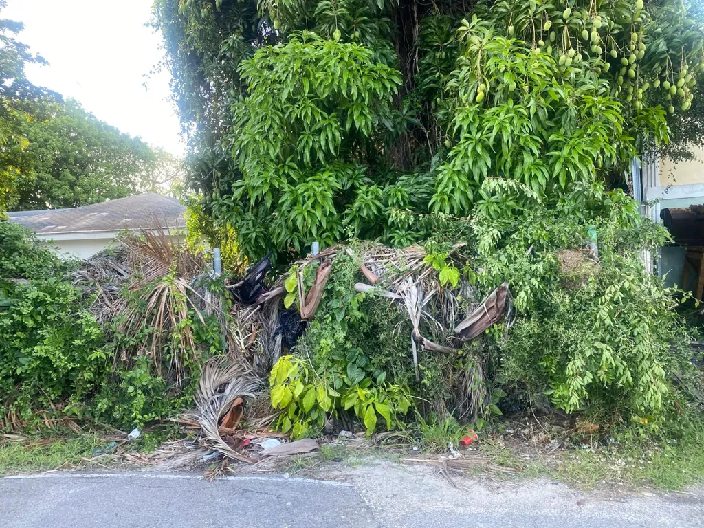 Blueberry Hill Road New Providence Paradise Island BS