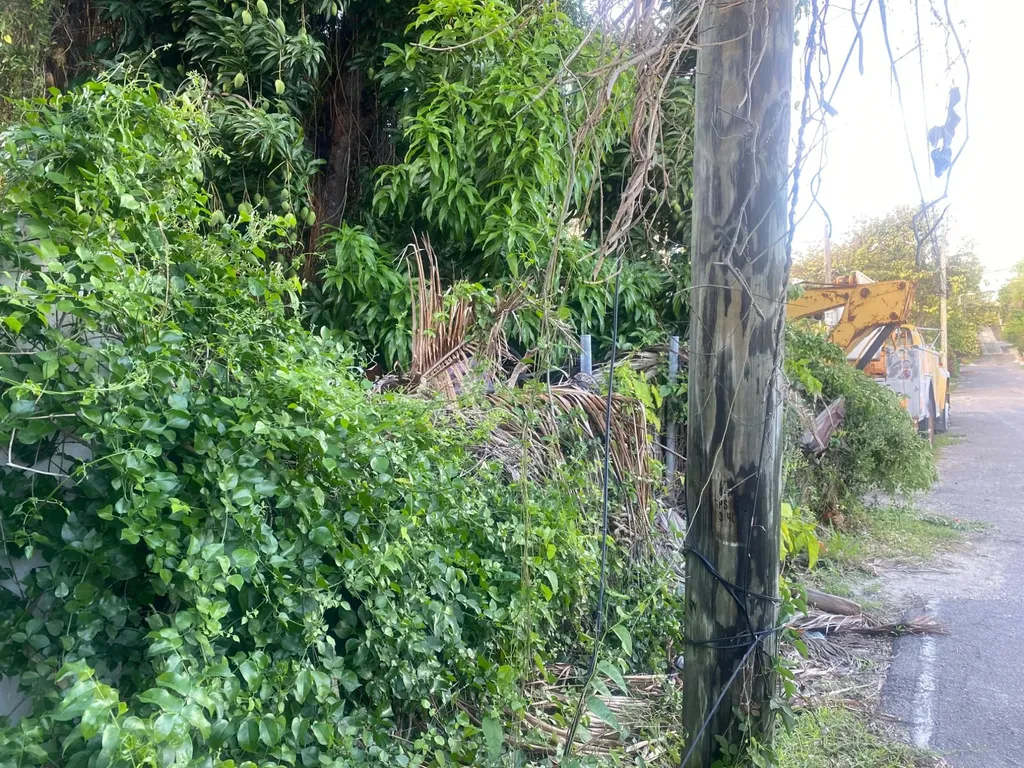 Blueberry Hill Road New Providence Paradise Island BS