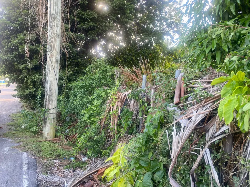 Blueberry Hill Road New Providence Paradise Island BS