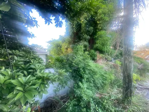 Blueberry Hill Road New Providence Paradise Island BS