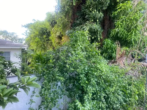 Blueberry Hill Road New Providence Paradise Island BS