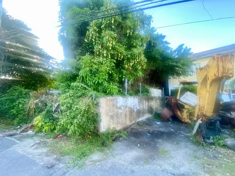 Blueberry Hill Road New Providence Paradise Island BS