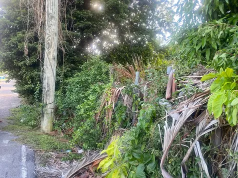 Blueberry Hill Road New Providence Paradise Island BS
