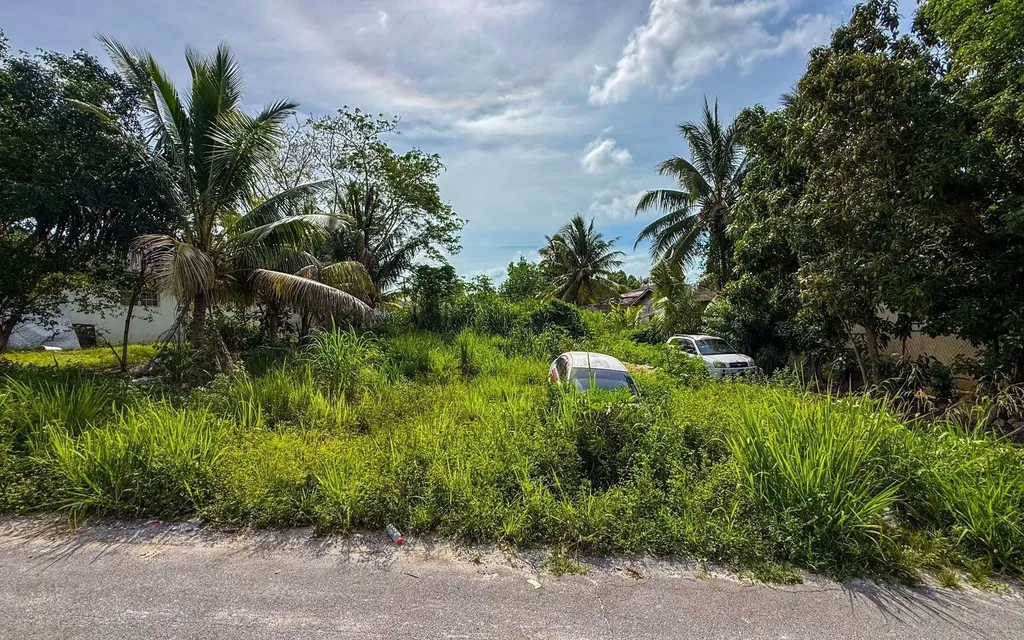 Lot 39, Nassau Village New Providence Paradise Island BS