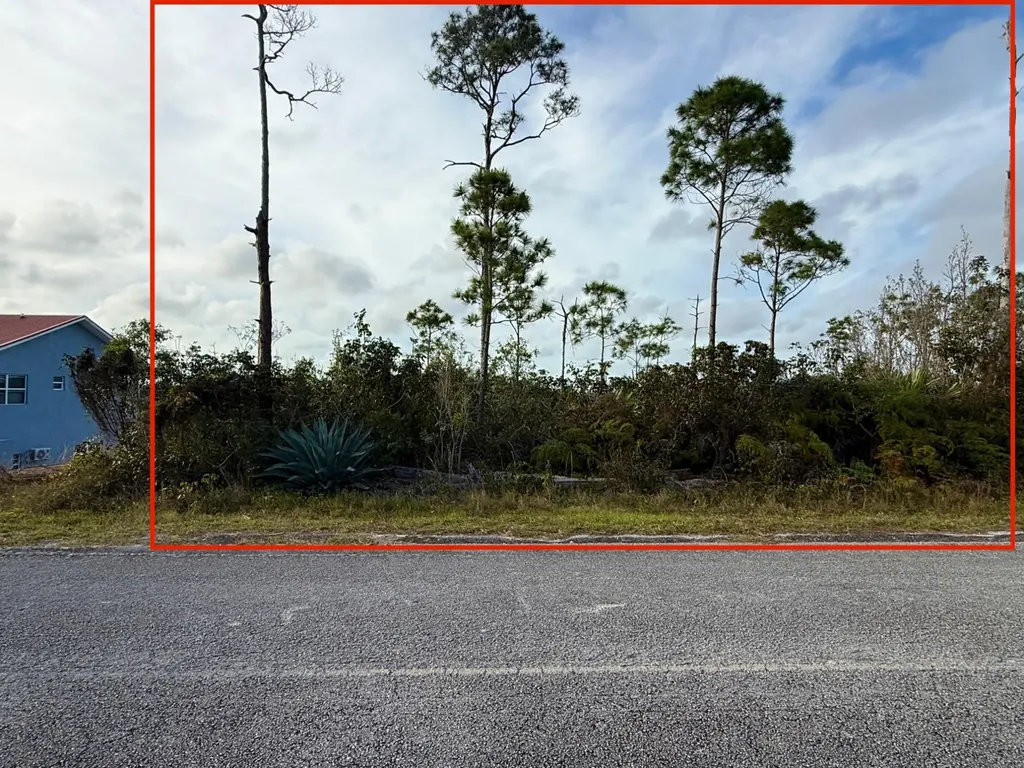 Chippinghill Drive 32 Grand Bahama Freeport BS