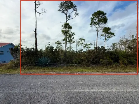 Chippinghill Drive 32 Grand Bahama Freeport BS
