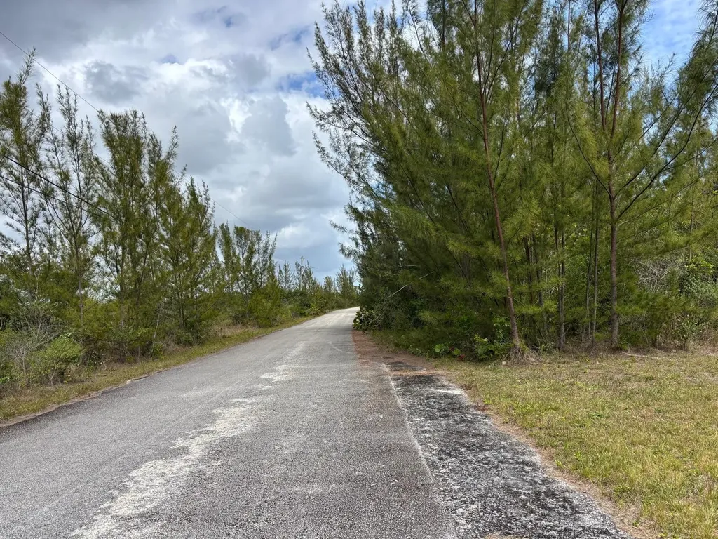 Juniper Lane 157 Grand Bahama Freeport BS