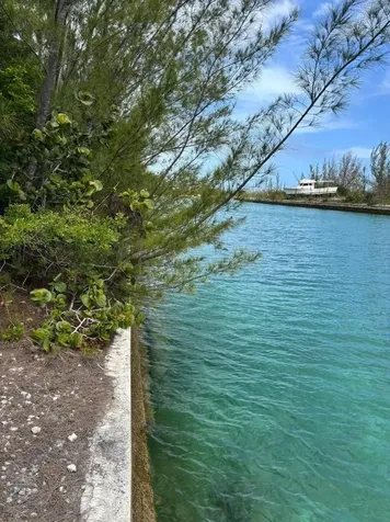 Juniper Lane 157 Grand Bahama Freeport BS