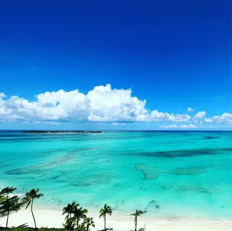 Aqualina 205 For Rent New Providence Paradise Island BS