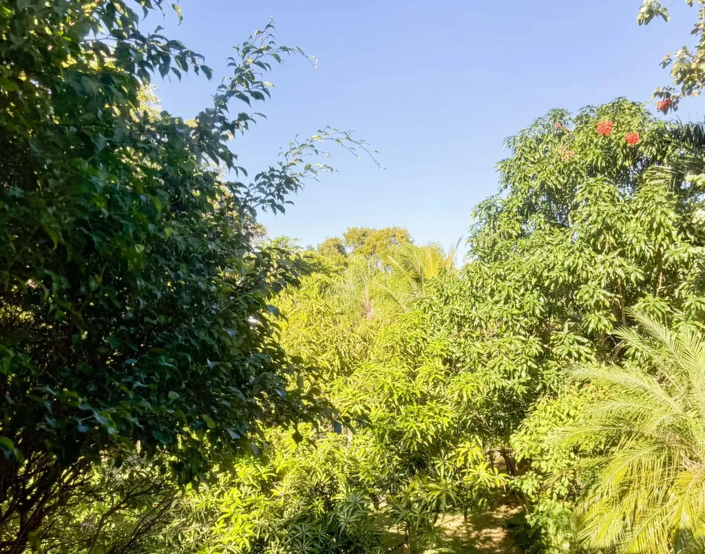 Poinciana Drive 10 New Providence Paradise Island BS