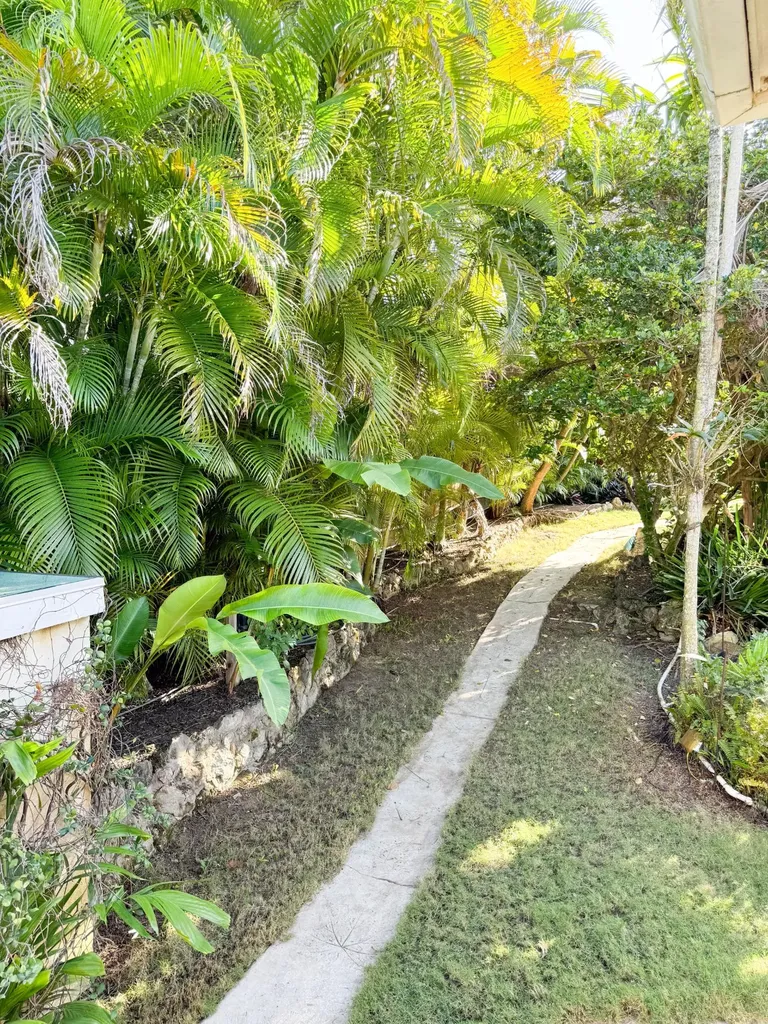 Poinciana Drive 10 New Providence Paradise Island BS