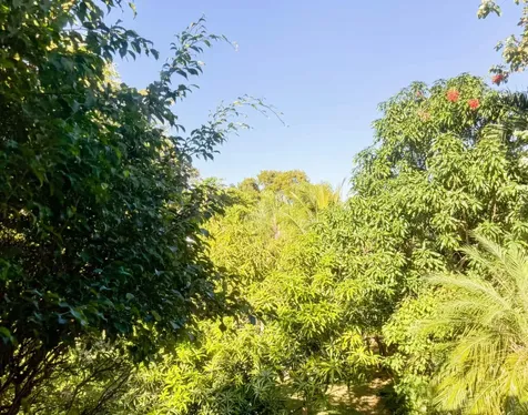 Poinciana Drive 10 New Providence Paradise Island BS