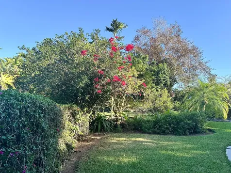 Poinciana Drive 10 New Providence Paradise Island BS