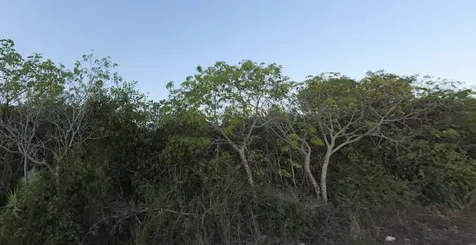 Lot #397 Holmes Rock Grand Bahama Freeport BS